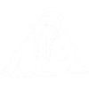 seehund_seeloewe