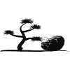 Bonsai 