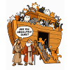 Katzenarche Noahs Arche
