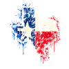 Texas Spray Flag Splash