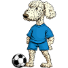 Pudel Fussballer Hund