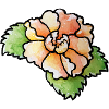 Pfirsich-Aquarell-Gartenblüte