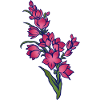 Pink Bloom Cluster-Kunst