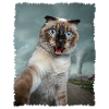 Siamkatze Selfie mit Tornado