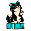 Not Today – Eigenwillige Katze | ODDROO