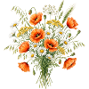Wildblumenstrauß mit Mohn und Kamille