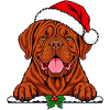 Bordeauxdogge mit Santa Hut