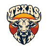 Texas Horns Retro Sunset