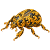 Barocker Goldkäfer Ornament