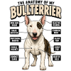 Lustiges Hundetraining Bullterrier Hundebesitzer