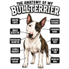 Hunde Sprüche Hundebesitzer Geschenk Spaziergang