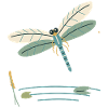 Libelle über einem Gartenteich