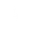 Musik - Music is the answer 