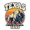 Texas Bison Sunset 1845