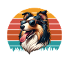 Lustige Langhaar Collie Sprüche