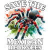 Save Rotknie Vogelspinne