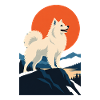 Indian Spitz