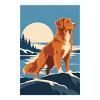 Nova Scotia Retriever