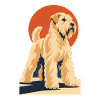 Weichfell-Wheaten Terrier