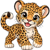 Kawaii Leopard – Süße wilde Katze
