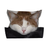 Schlafende rot-weiße Katze