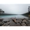 Nebliger Bergsee Waldlandschaft