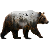 Bär mit Nebelwald