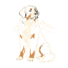 Berner Sennenhund – Alpiner Begleiter