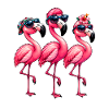 Niedlicher Flamingo Süße Flamingos