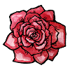 Karmesinrote Aquarellrose