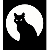 Katze Vollmond