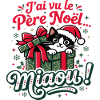 Katzen-Weihnachtsmann
