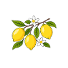 Ciao Bella
