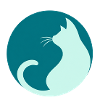 Katze