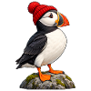 Papageitaucher mit roter Bobble-Mütze