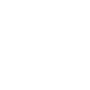 Bassistin