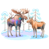 Elch im Winterwald – wilde Natur