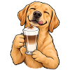 Labrador mit Latte Macchiato – Kaffeepause