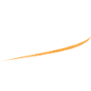 Nana Varsity Script Team Kapitän