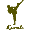 Karate Silhouette Shirt