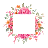 Pink_Orange_Green_3_-_Artboard_1