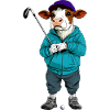 Kühe Golf