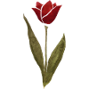 Karmesinrote Aquarellrose