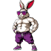 Sport Tiere Hase