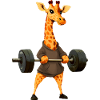 Trainer Giraffe