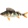 Barsch angeln Polygon 
