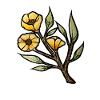 Sunlit Poppy Branch