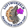 Luftwurzeln Brauchen Keinen Topf Orchidee