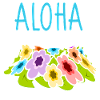 Aloha bunte Blumen Hawaii
