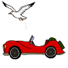 Möwe macht auf Auto, versauen, Notdurft